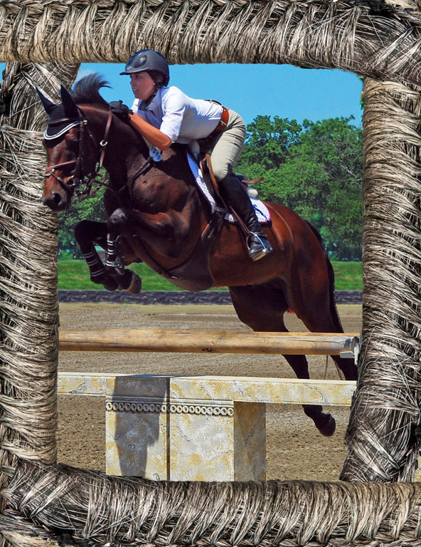 Horse Tail Frame2 LR